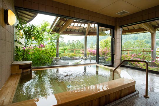 山中温泉 花紫