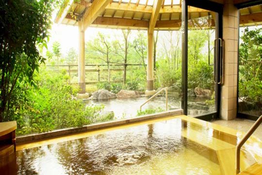 山中温泉 花紫