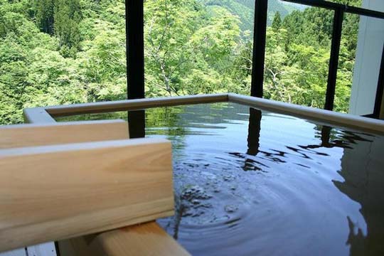渓谷の隠れ宿 祖谷美人