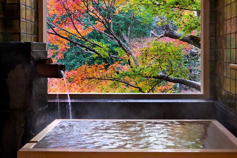 東府やResort&Spa-Izu