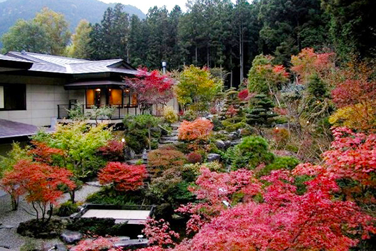 奥の院 ほてる とく川