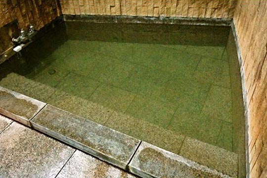 皆生温泉 芙蓉別館