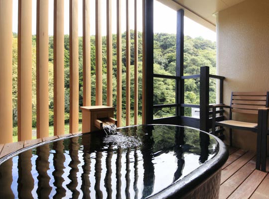 箱根湯本温泉 箱根水明荘