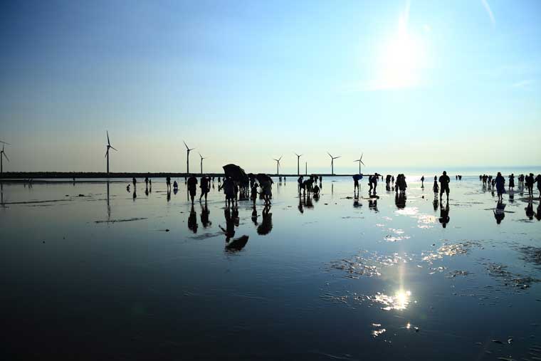高美湿地