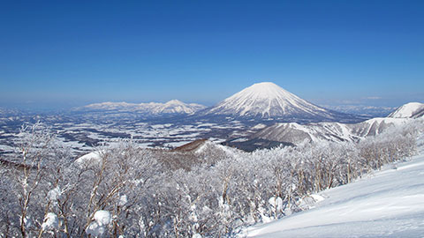 北海道のスキー スノーボード旅行 人気宿ランキング 楽天トラベル