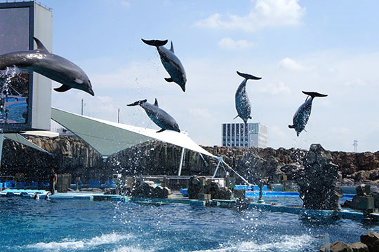 名古屋港水族館