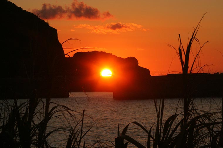 フォトジェニックな奄美大島 現地担当者おすすめの観光スポット 楽天トラベル