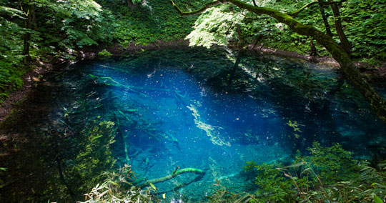十二湖(青池)