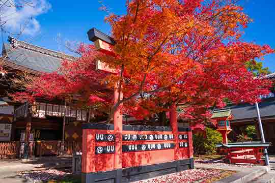 車折神社(くるまざきじんじゃ)