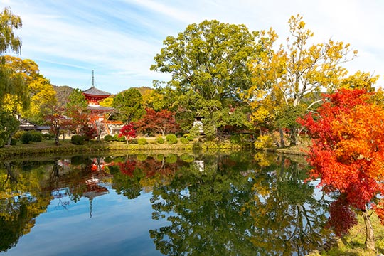 旧嵯峨御所 大本山 大覚寺