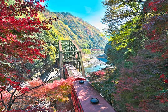 嵯峨野トロッコ列車