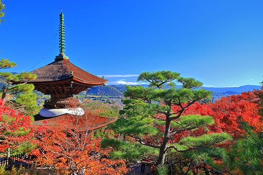 常寂光寺
