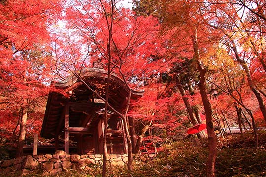 瑞宝寺公園