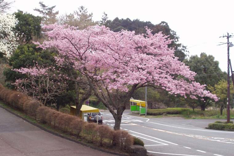 姫の沢公園