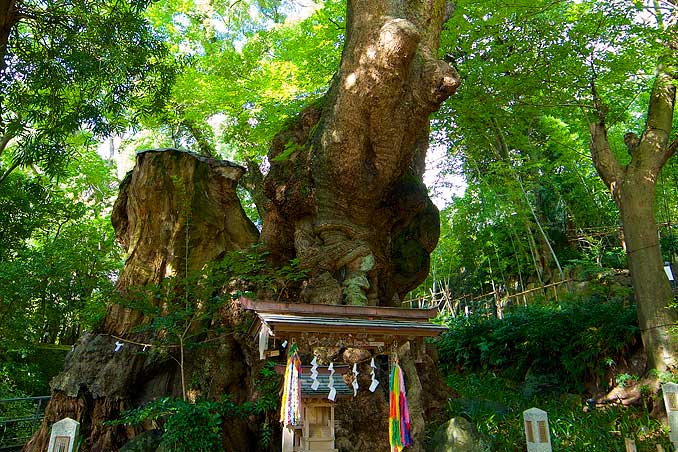 來宮神社