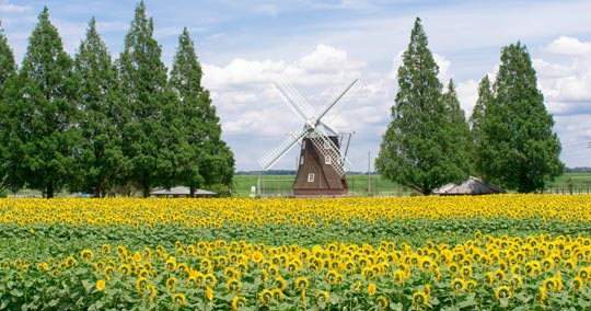 あけぼの山農業公園