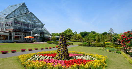 清水公園