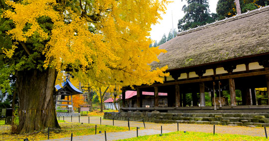 新宮熊野神社 長床