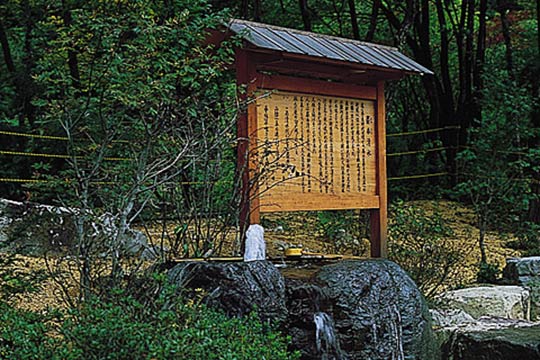 麝香清水