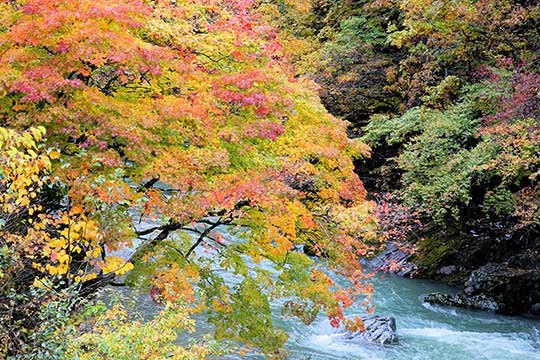 清流馬瀬川