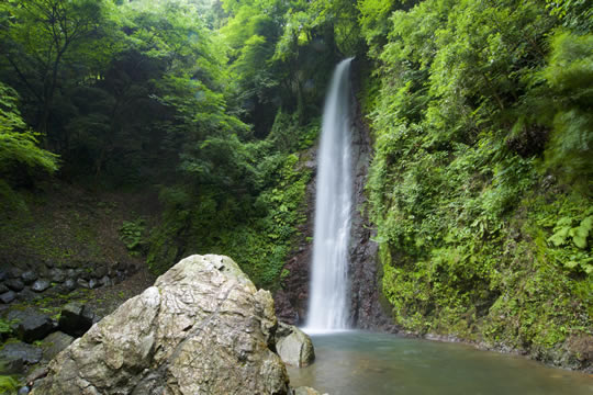 養老の滝