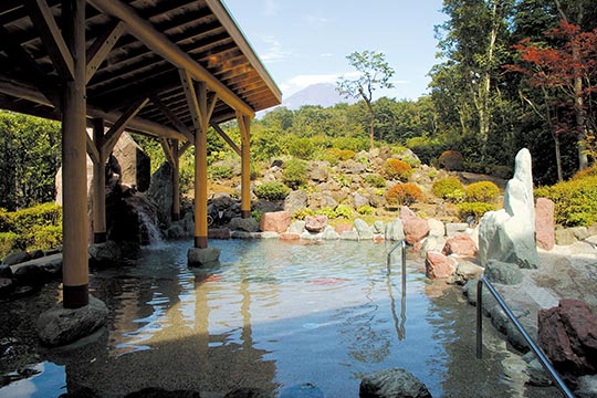 御胎内温泉健康センター(富士山樹空の森)