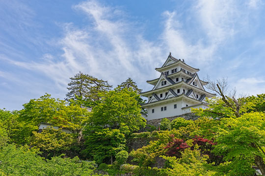 郡上八幡城