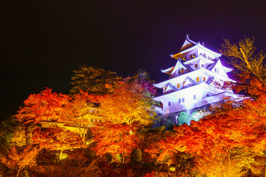 郡上八幡城もみじまつり