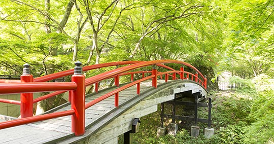 河鹿橋