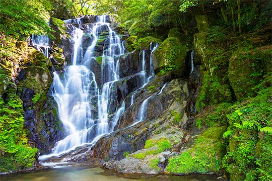 白糸の滝