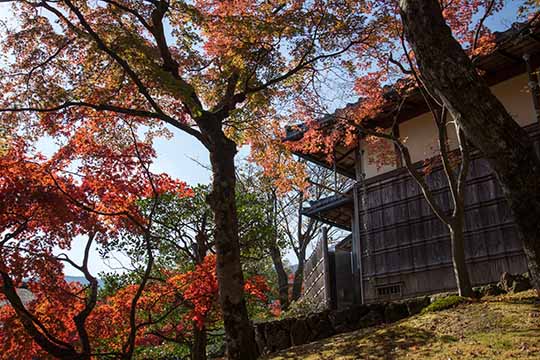 箱根美術館