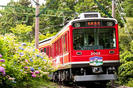 あじさい電車(箱根登山鉄道)