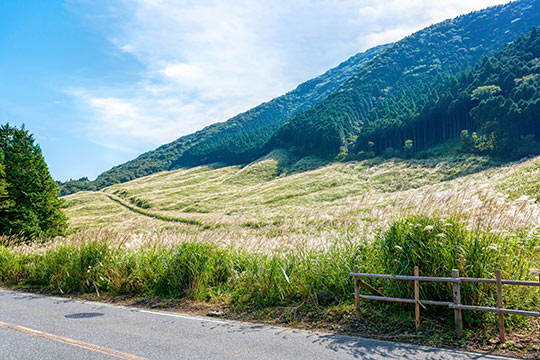 仙石原高原