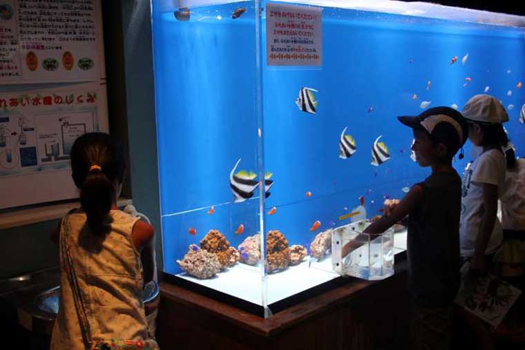 浜名湖体験学習施設ウォット