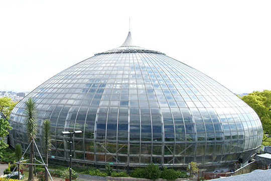 手柄山温室植物園
