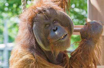 旭川市旭山動物園