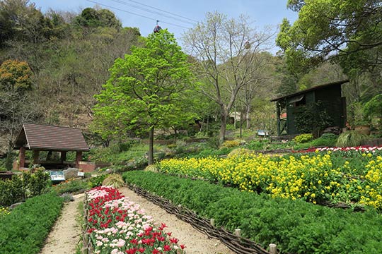 布引ハーブ園