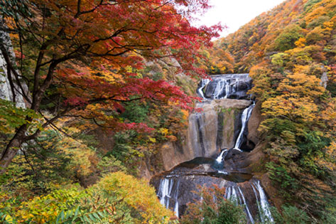 è¢ç°ã®æ»