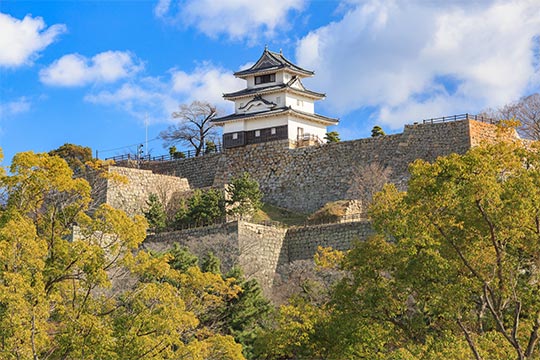 丸亀城