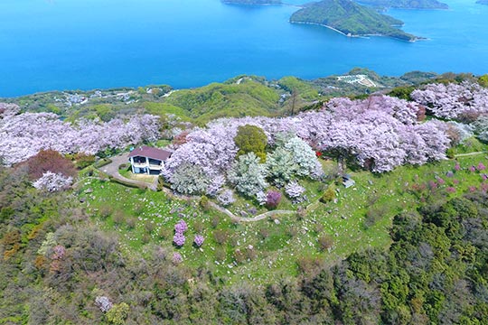 紫雲出山(しうでやま)