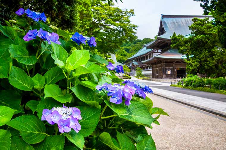 建長寺