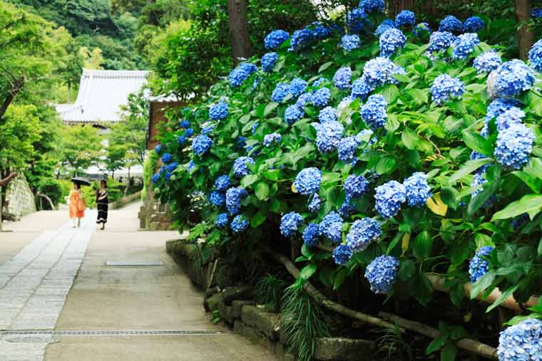 円覚寺