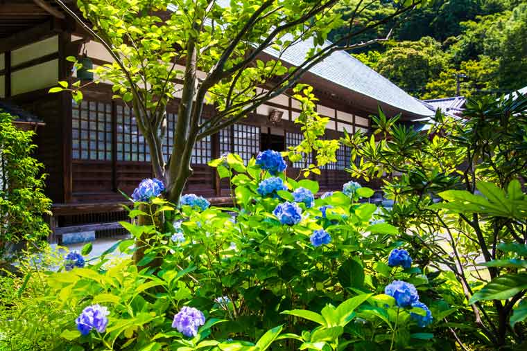 浄妙寺