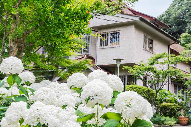 浄妙寺