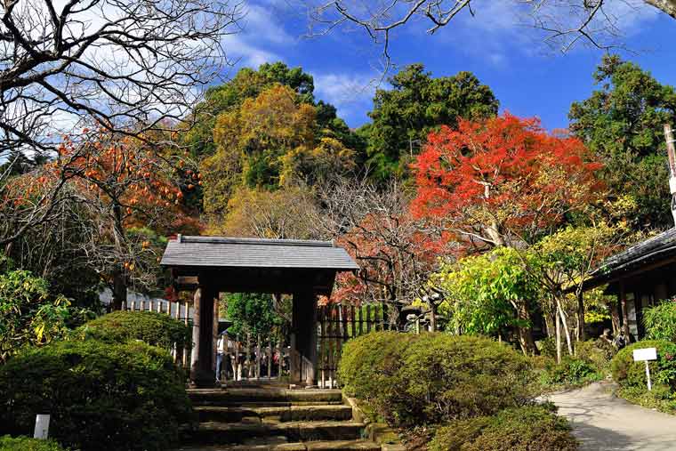 浄智寺