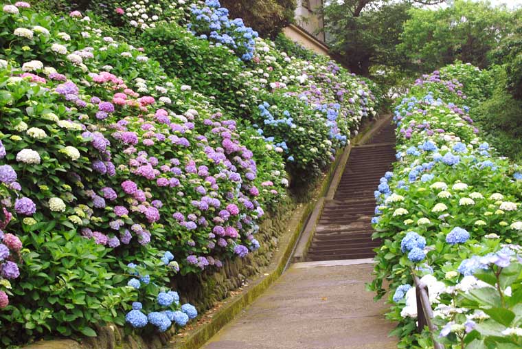 成就院