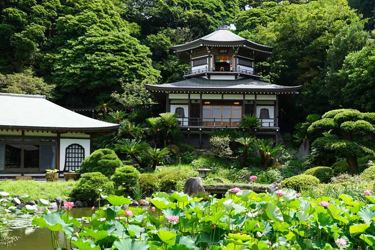 光明寺