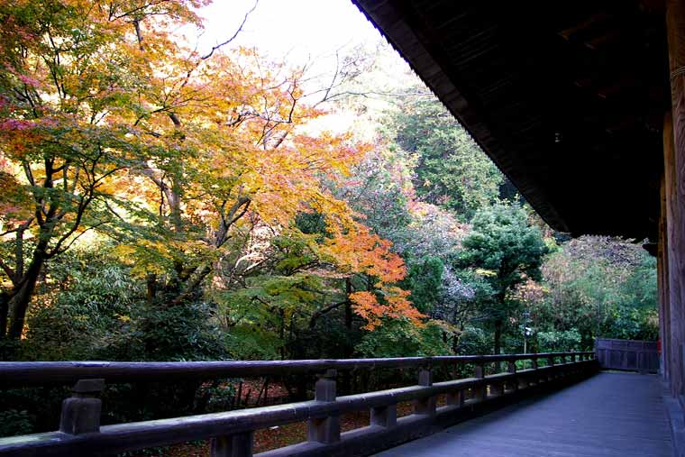 妙本寺