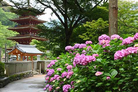 長谷寺