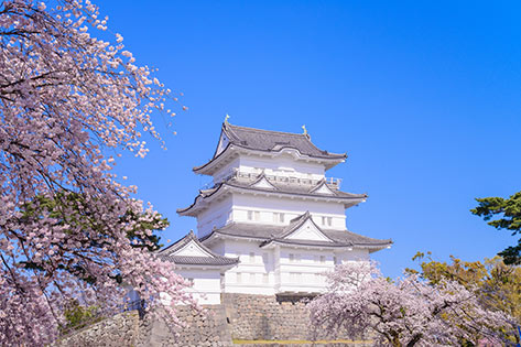 小田原城・小田原城址公園
